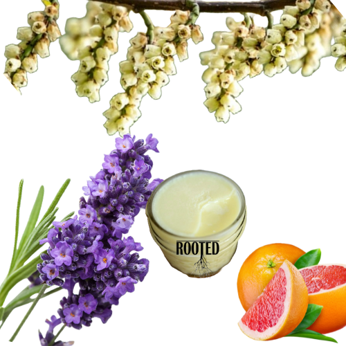 Whipped 8oz Tallow Balm Anti Aging & Skin  tightening May Chang, Pink Grapefruit, & Spike Lavender.