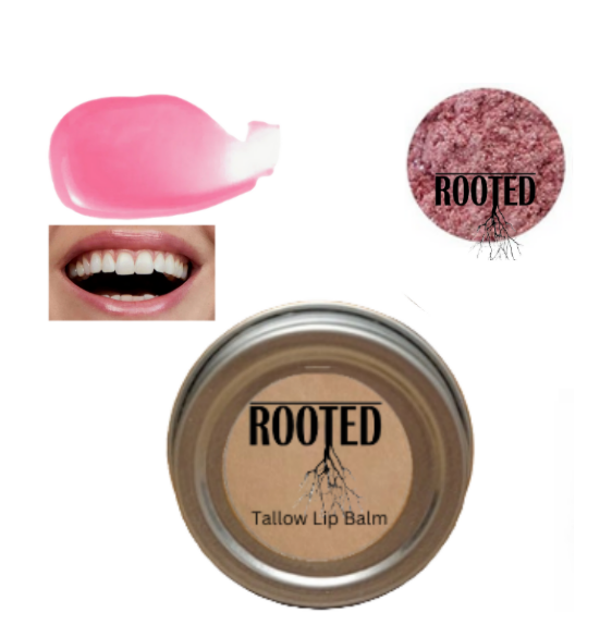 Rooted Tallow Lip Balm Set of 6