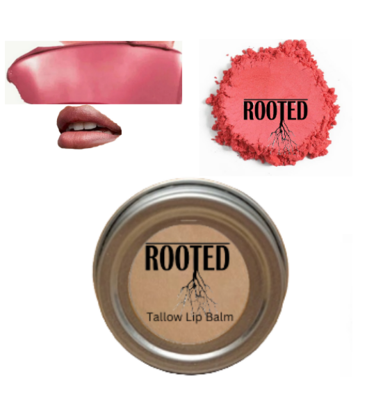 Rooted Tallow Lip Balm Set of 6