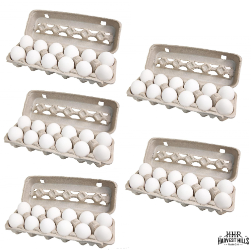 4-Dozen Duck Egg Bundle