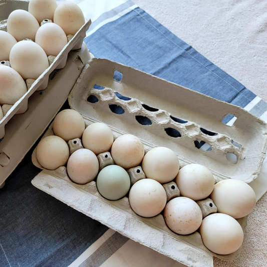 Local/ Houston Delivery Only - Pasture Raised Duck Eggs - 9 Dozen Bundle