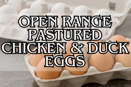 Open Range Chicken & Duck Eggs - Shop Now